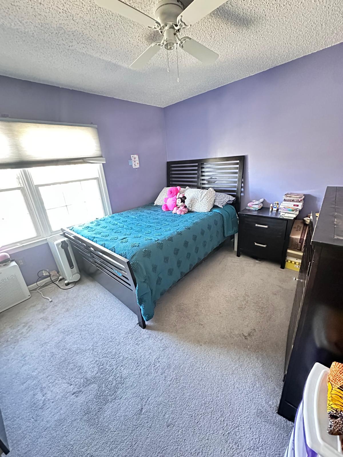 Cleaning project